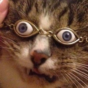 Meet your Posher, Armando